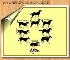 kalmerende signalen